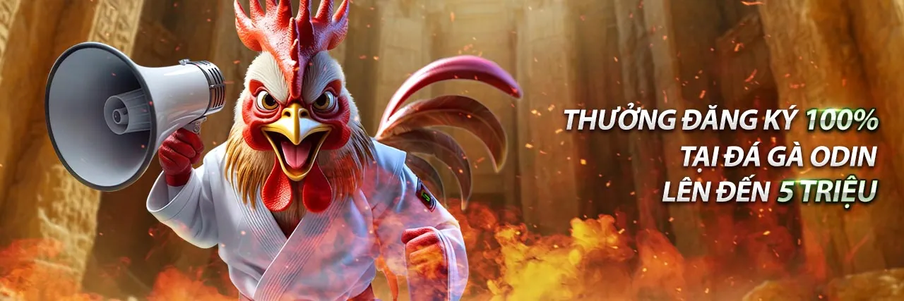 Đội ngũ abc8bet chuyên nghiệp